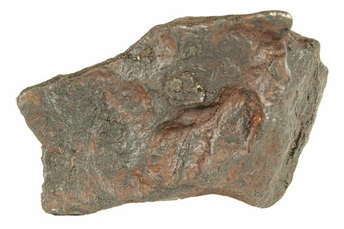 Canyon Diablo Iron Meteorite ( g) - Arizona #270682